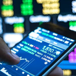 A person checking stock market data on a mobile device.